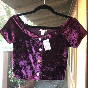 Velvet Crop Top (NEVER WORN)